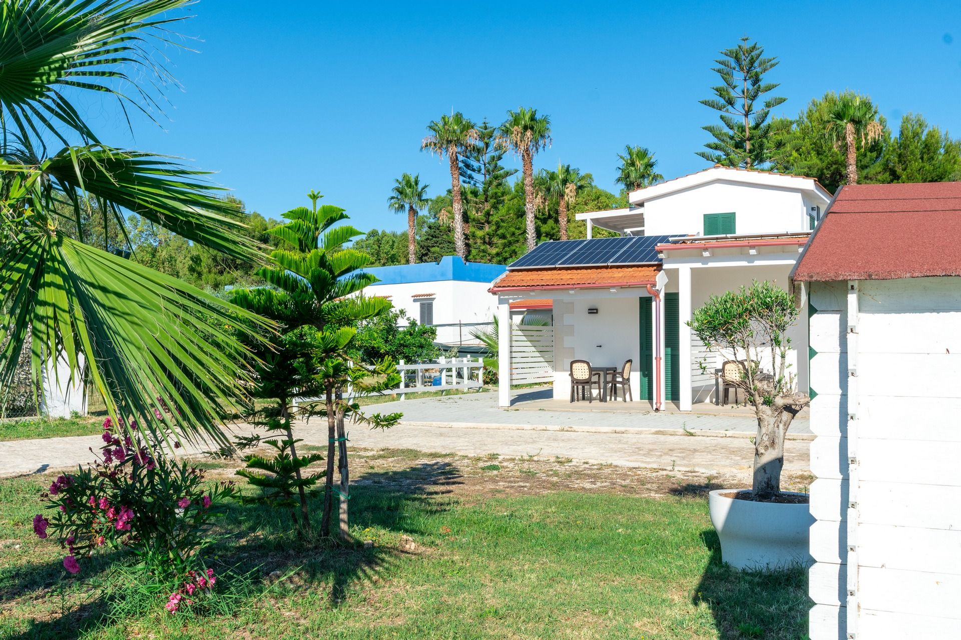 giardino esterno del Bed and Breakfast Duccio a Mare vicino alla spiaggia di Scialmarino a Vieste